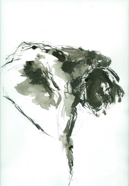 008 (2)